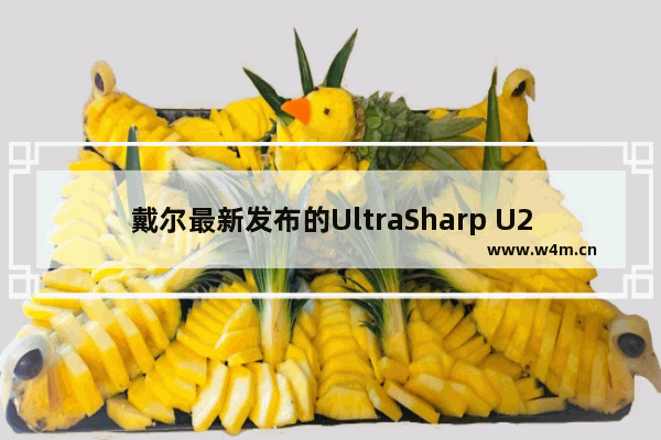 戴尔最新发布的UltraSharp U2520Q和U2720Q显示器怎么样