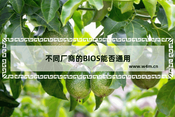 不同厂商的BIOS能否通用