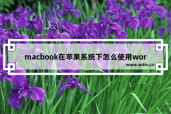 macbook在苹果系统下怎么使用word等Office软件 谁有办法