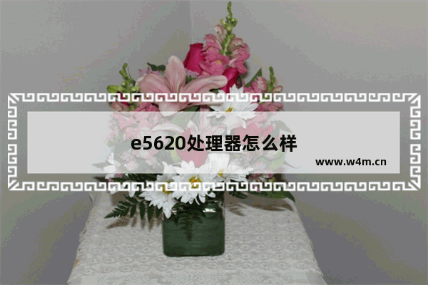 e5620处理器怎么样