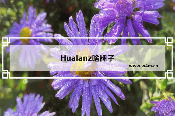 HuaIanz啥牌子