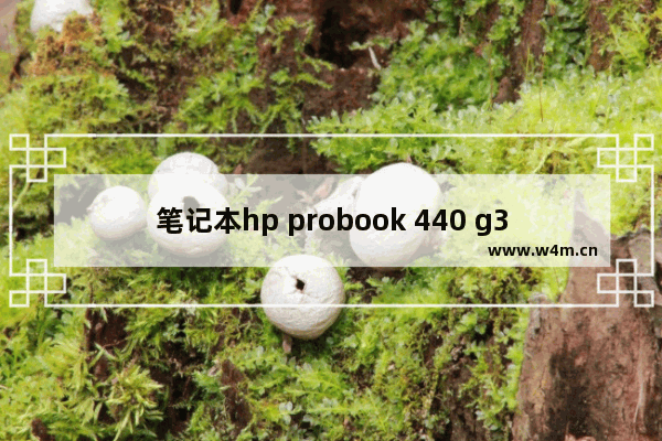 笔记本hp probook 440 g3能兼容哪些固态硬盘