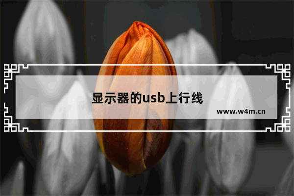 显示器的usb上行线