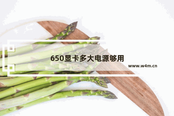 650显卡多大电源够用