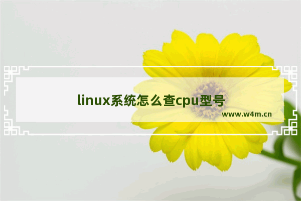 linux系统怎么查cpu型号