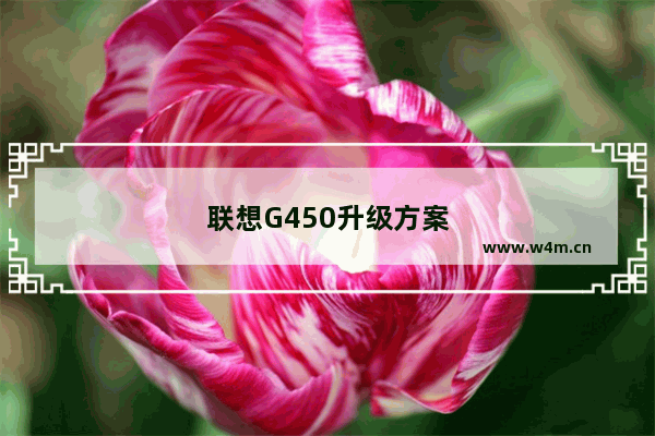 联想G450升级方案