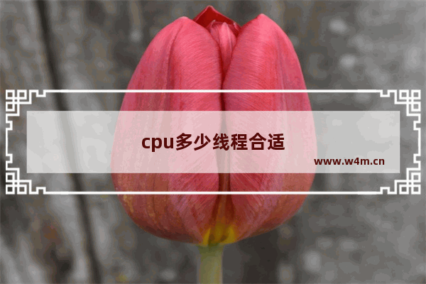 cpu多少线程合适