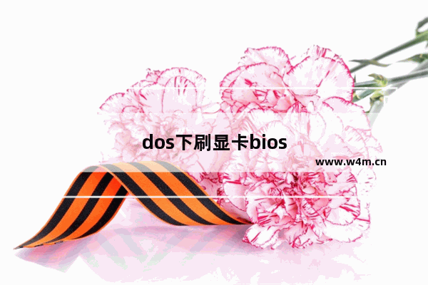 dos下刷显卡bios