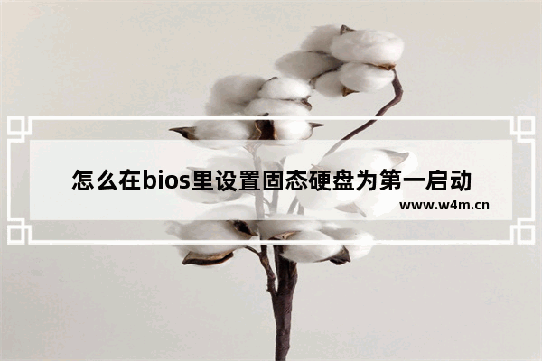 怎么在bios里设置固态硬盘为第一启动