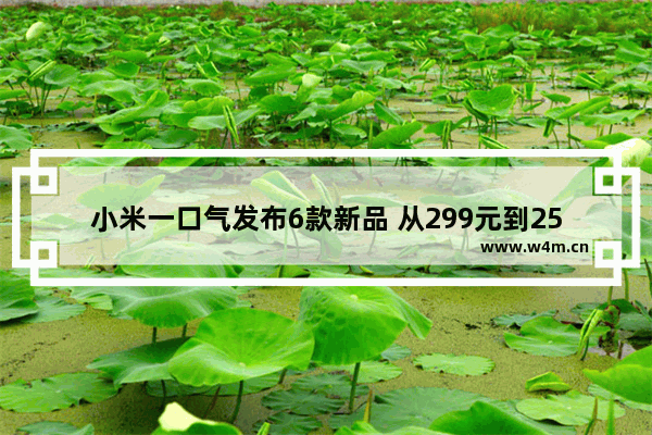 小米一口气发布6款新品 从299元到2599元 谁是你的菜