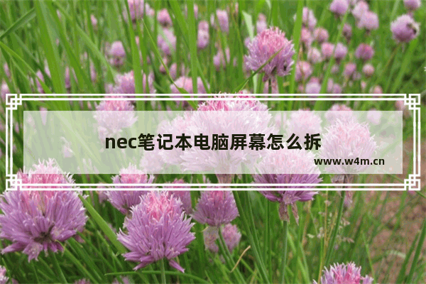 nec笔记本电脑屏幕怎么拆