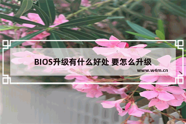 BIOS升级有什么好处 要怎么升级