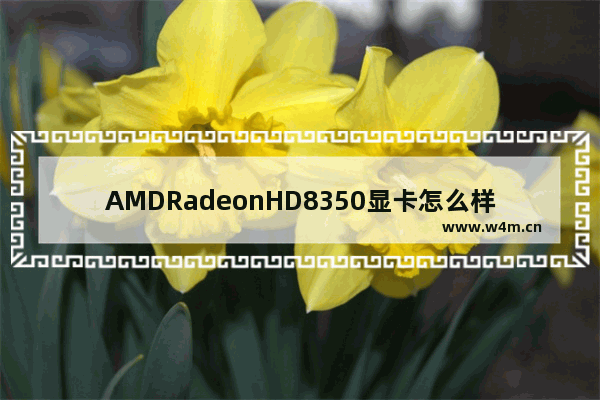 AMDRadeonHD8350显卡怎么样