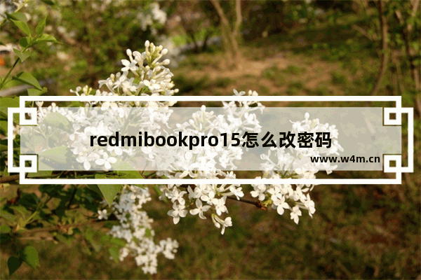 redmibookpro15怎么改密码