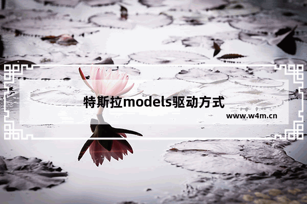 特斯拉models驱动方式