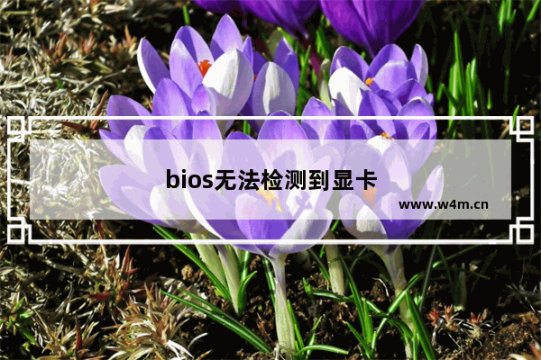 bios无法检测到显卡