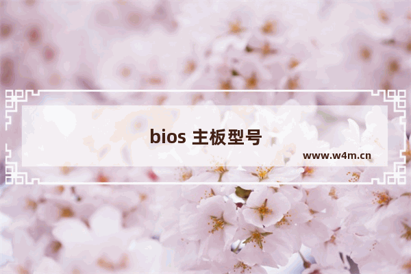 bios 主板型号