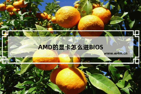 AMD的显卡怎么进BIOS