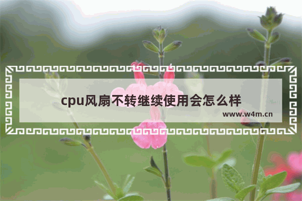 cpu风扇不转继续使用会怎么样