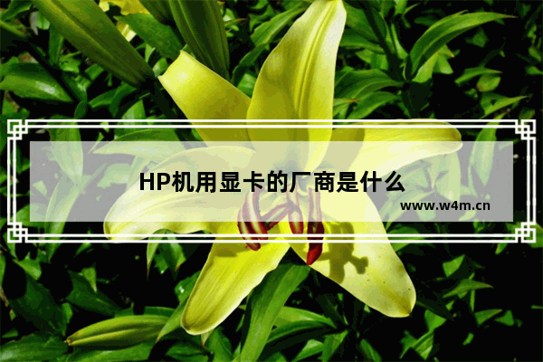 HP机用显卡的厂商是什么