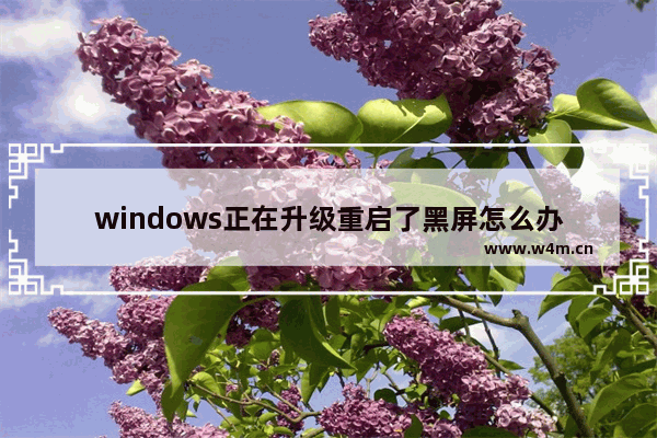 windows正在升级重启了黑屏怎么办