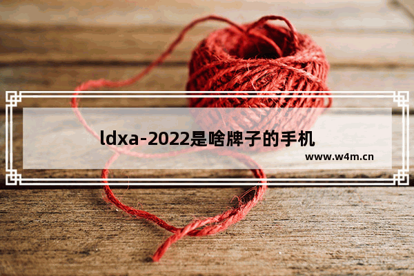 ldxa-2022是啥牌子的手机