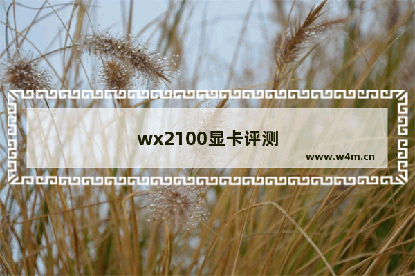 wx2100显卡评测