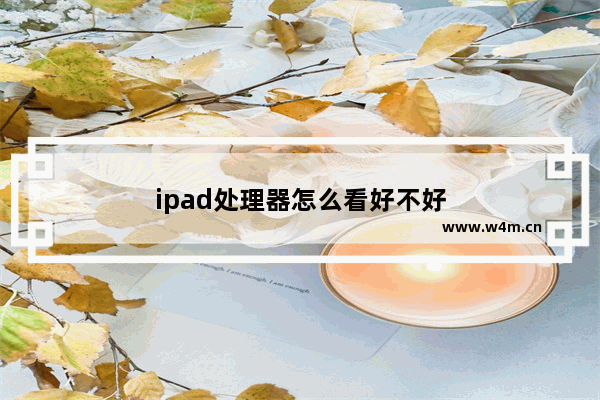 ipad处理器怎么看好不好