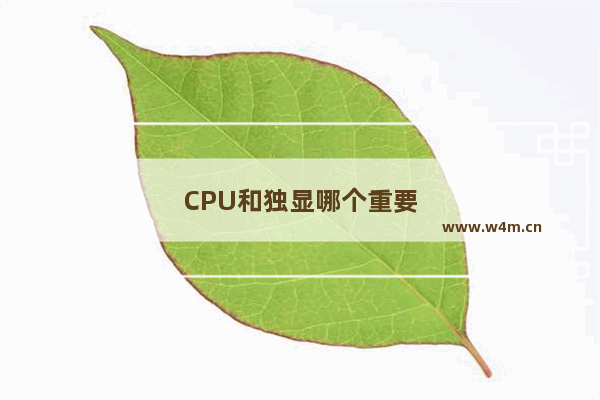 CPU和独显哪个重要