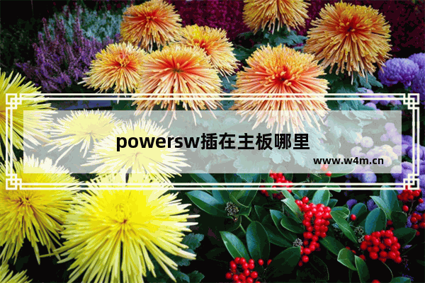 powersw插在主板哪里