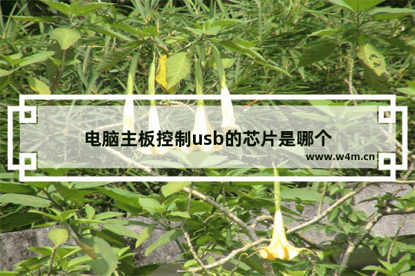 电脑主板控制usb的芯片是哪个