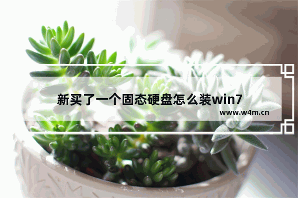 新买了一个固态硬盘怎么装win7