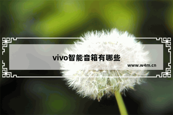 vivo智能音箱有哪些