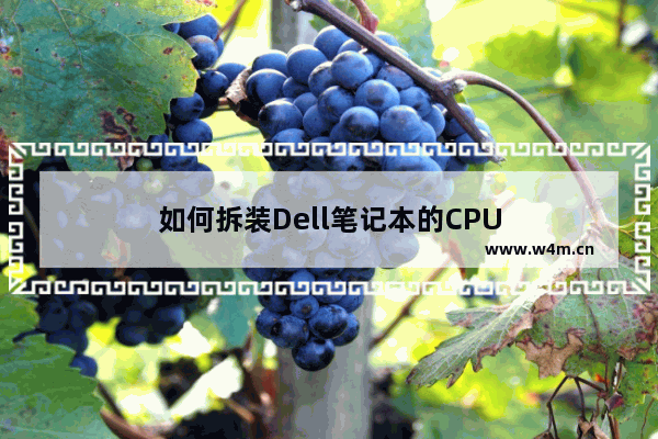 如何拆装Dell笔记本的CPU