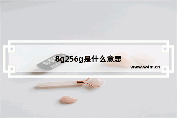 8g256g是什么意思