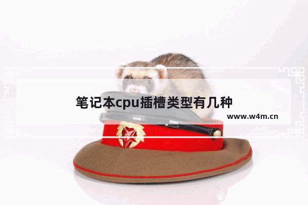 笔记本cpu插槽类型有几种