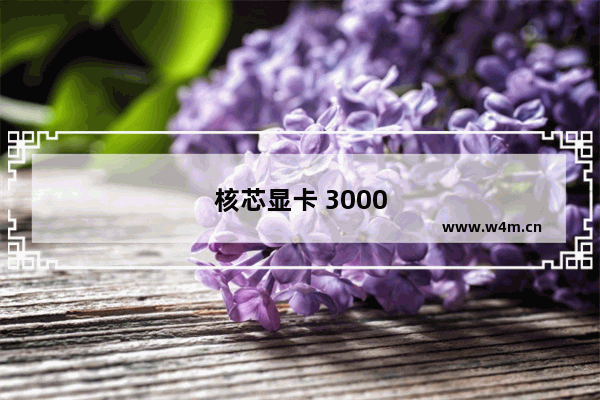 核芯显卡 3000