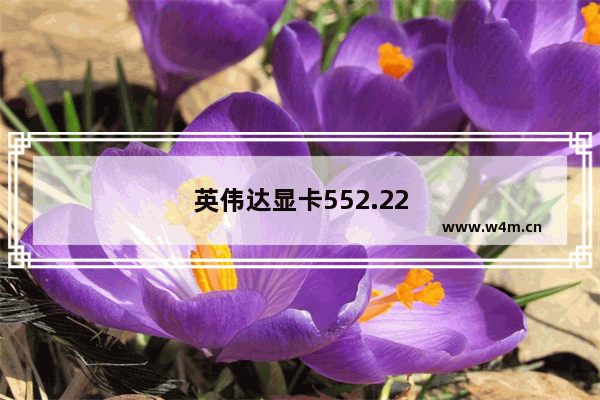 英伟达显卡552.22