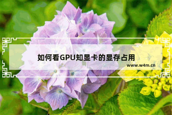 如何看GPU知显卡的显存占用