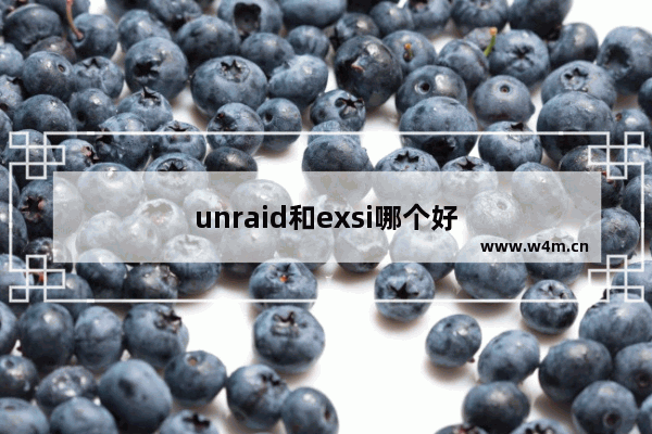 unraid和exsi哪个好