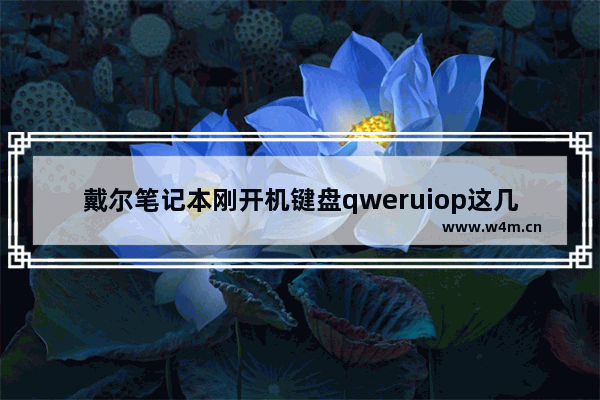 戴尔笔记本刚开机键盘qweruiop这几个键经常会打不出来 失灵。但是一下子又好了 怎么解决啊