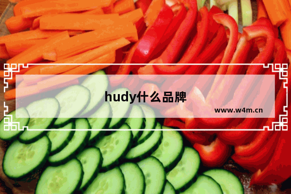 hudy什么品牌