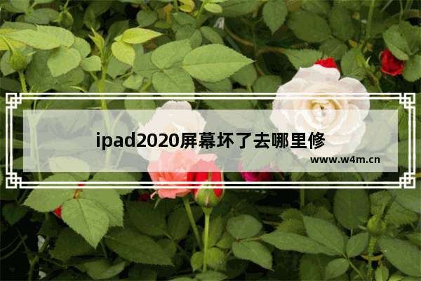 ipad2020屏幕坏了去哪里修