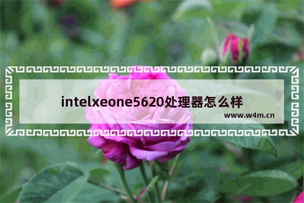 intelxeone5620处理器怎么样