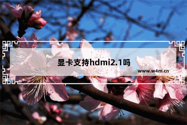 显卡支持hdmi2.1吗