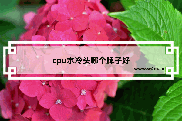 cpu水冷头哪个牌子好