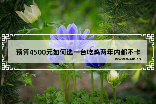 预算4500元如何选一台吃鸡两年内都不卡顿的电脑（全套）