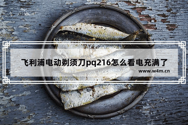 飞利浦电动剃须刀pq216怎么看电充满了