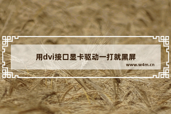 用dvi接口显卡驱动一打就黑屏