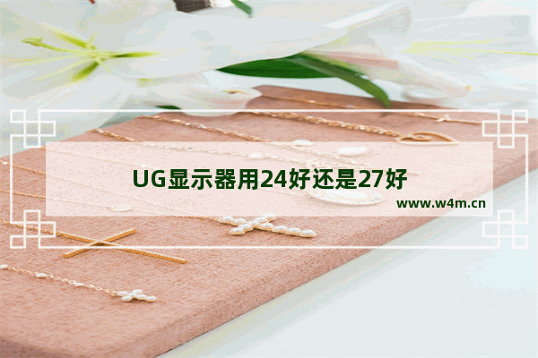 UG显示器用24好还是27好